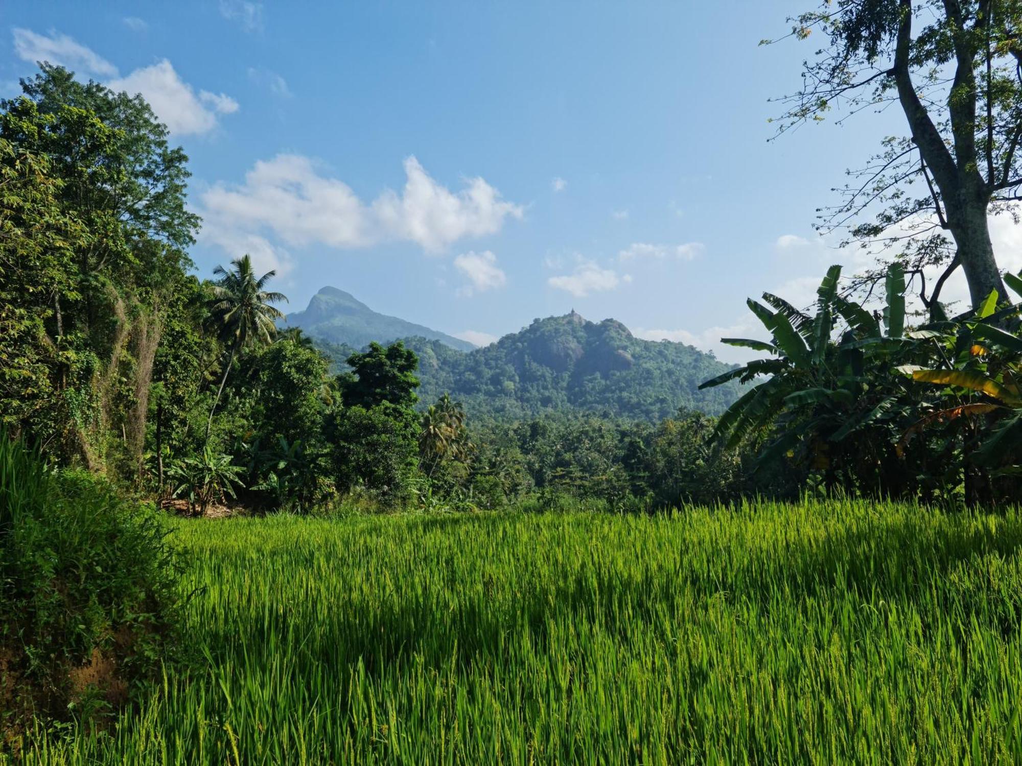 Silver Hill Ecovillage Kurunegala Kültér fotó