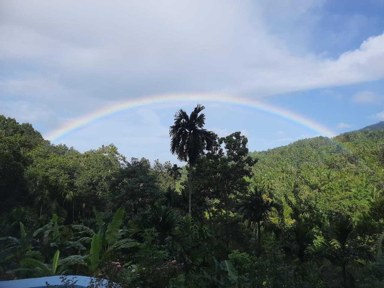 Silver Hill Ecovillage Kurunegala Kültér fotó
