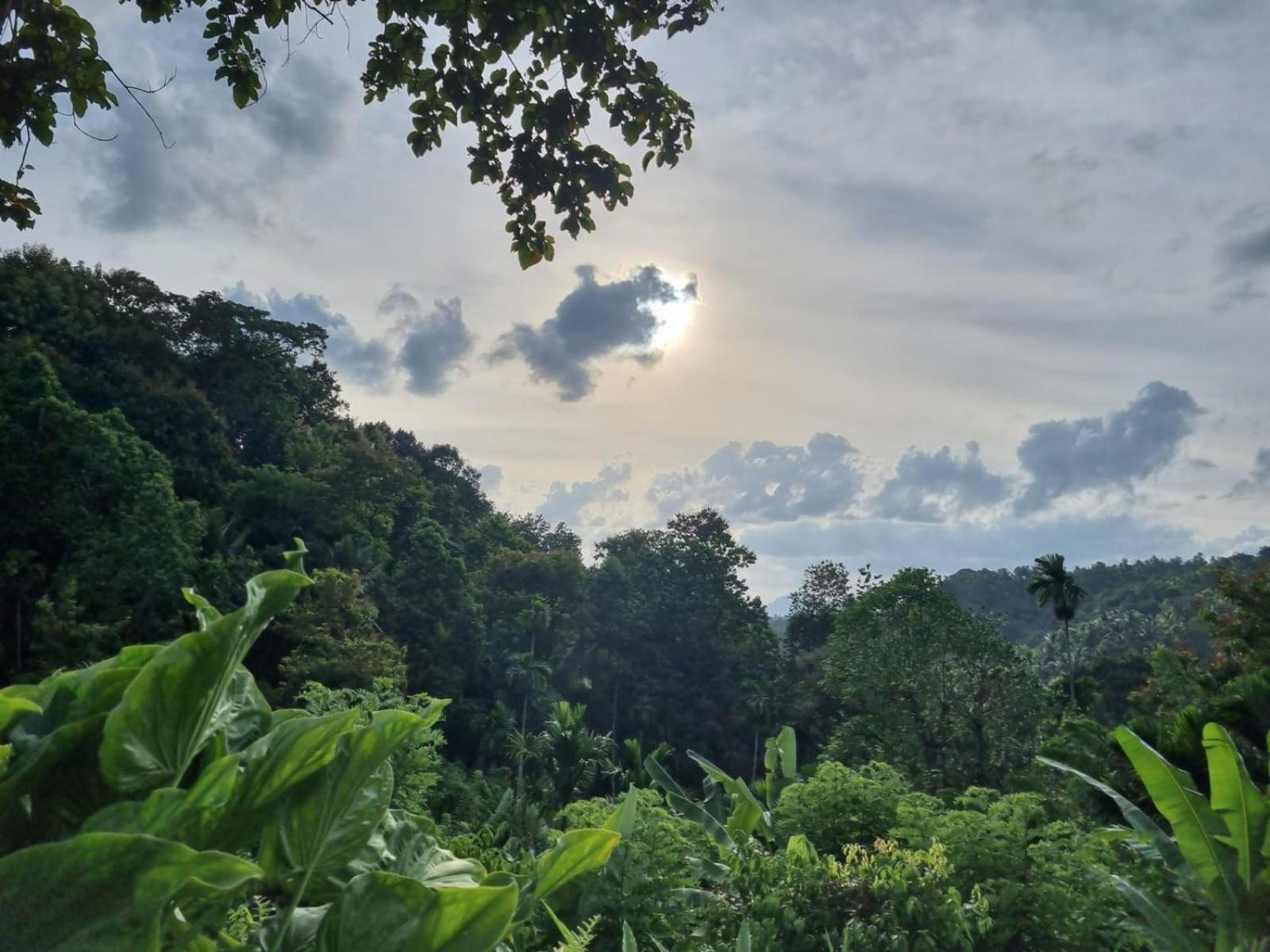 Silver Hill Ecovillage Kurunegala Kültér fotó