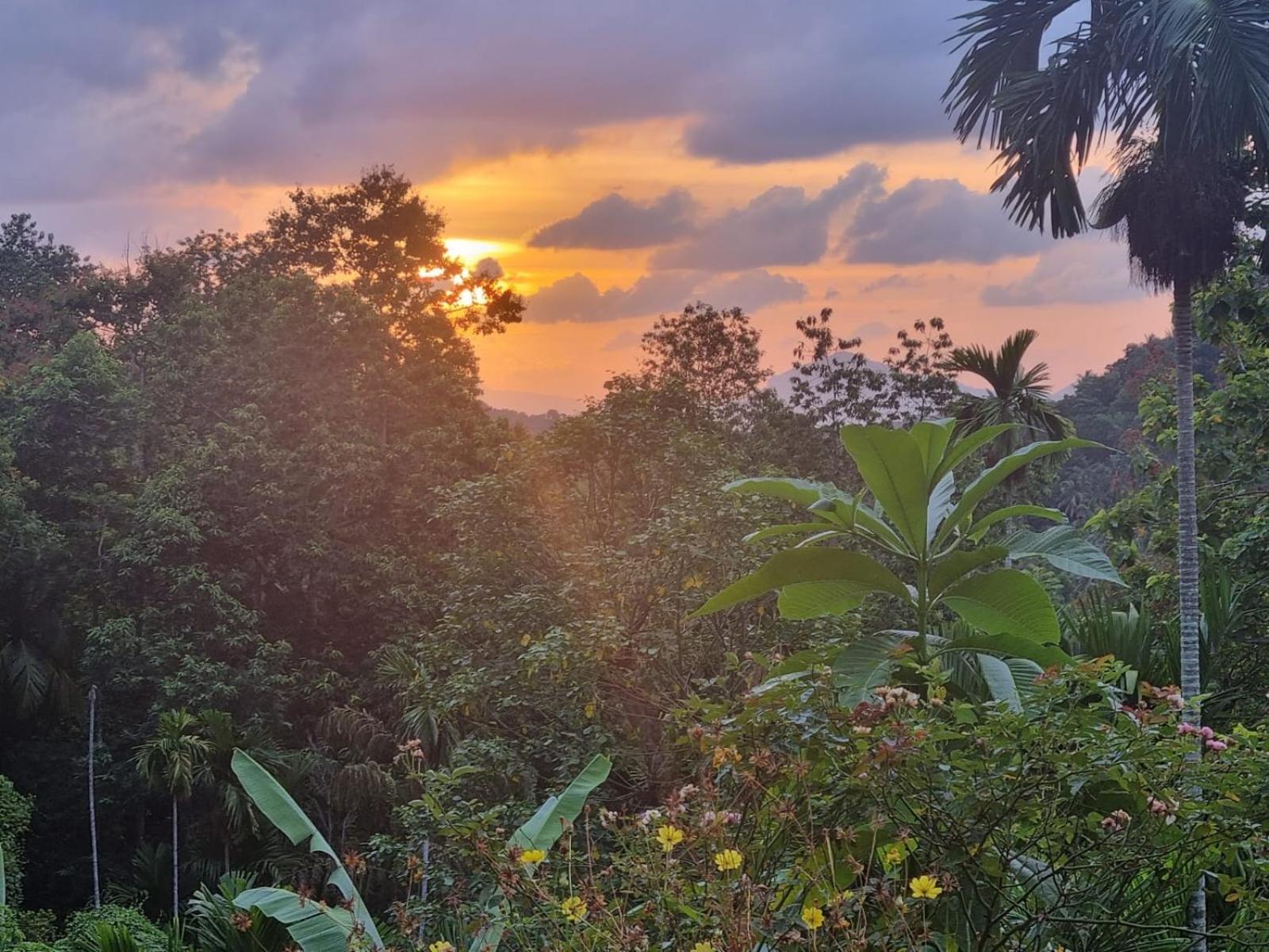 Silver Hill Ecovillage Kurunegala Kültér fotó
