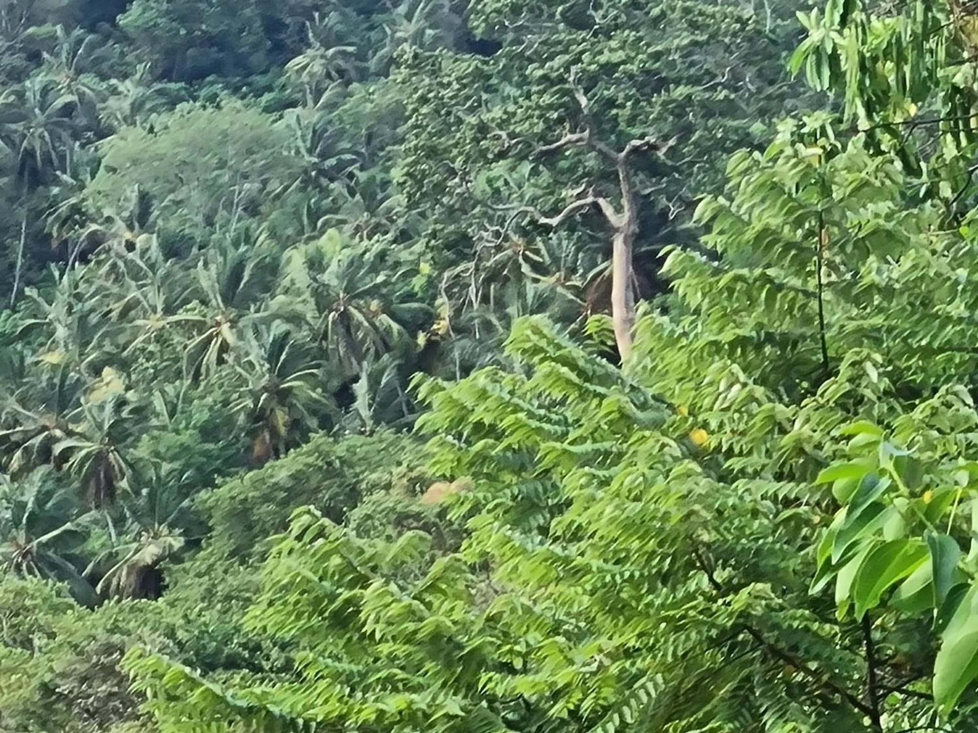 Silver Hill Ecovillage Kurunegala Kültér fotó